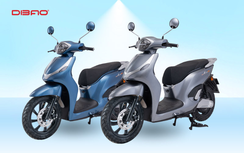 Xe máy điện Dibao LS700